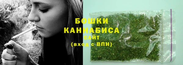 спайс Вяземский