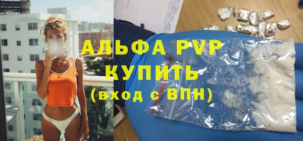 спайс Вяземский