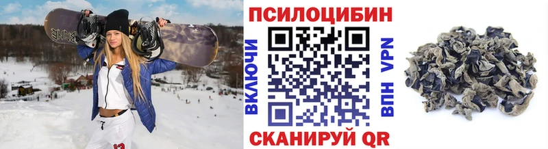 хочу   кракен ONION  Псилоцибиновые грибы GOLDEN TEACHER  Нестеровская 