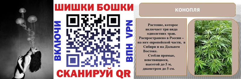 Каннабис семена  магазин продажи наркотиков  это как зайти  Нестеровская 